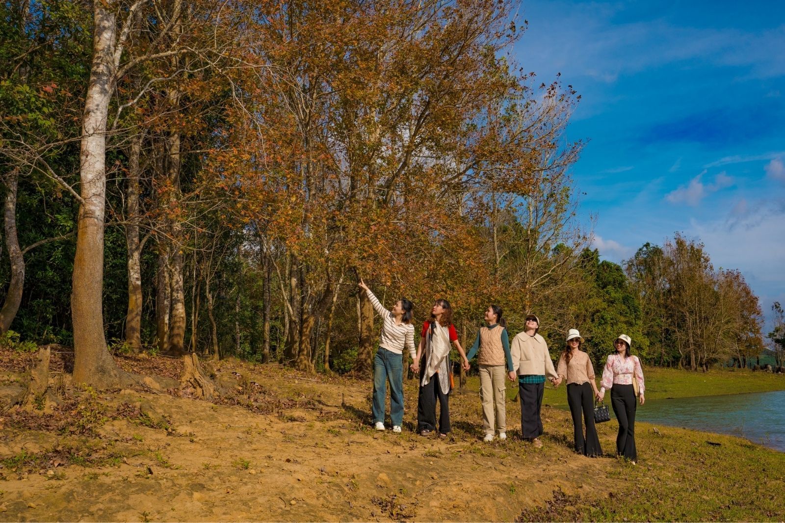 Không phải Hàn Quốc, Nhật Bản, đây là rừng phong ở Việt Nam: Du khách nhận xét "Chẳng cần đi nước ngoài" - Ảnh 10. Không phải Hàn Quốc, Nhật Bản, đây là rừng phong ở Việt Nam: Du khách nhận xét "Chẳng cần đi nước ngoài" - Ảnh 10.