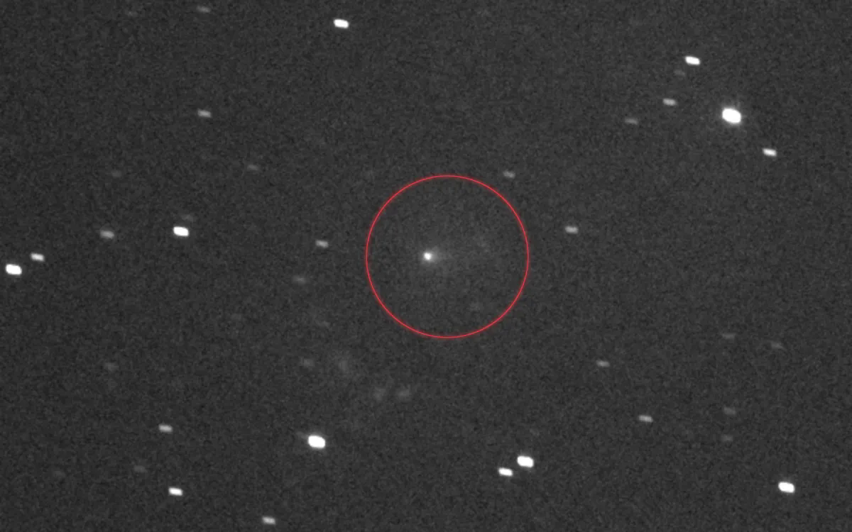 NASA công bố ảnh hiếm của sao chổi liên sao 3I/ATLAS chụp từ Sao Hỏa - Ảnh 1.