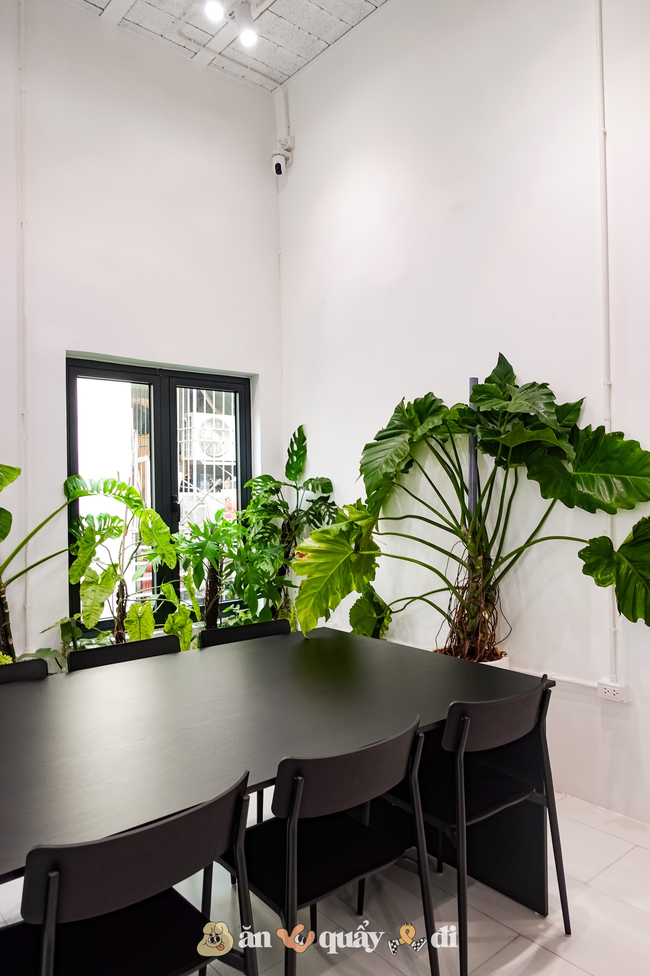 Nơi bán cốc cà phê 750.000 đồng tại Hà Nội: Có gì đặc biệt mà giá gấp 20 lần bình thường?- Ảnh 8. Nơi bán cốc cà phê 750.000 đồng tại Hà Nội: Có gì đặc biệt mà giá gấp 20 lần bình thường?- Ảnh 8.