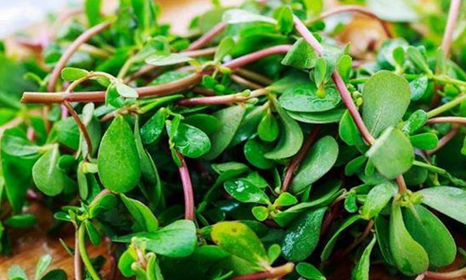 3 loại rau ăn sống nhiều "phá gan", ngon bổ mấy cũng đừng tham ăn- Ảnh 2. 3 loại rau ăn sống nhiều "phá gan", ngon bổ mấy cũng đừng tham ăn- Ảnh 2.