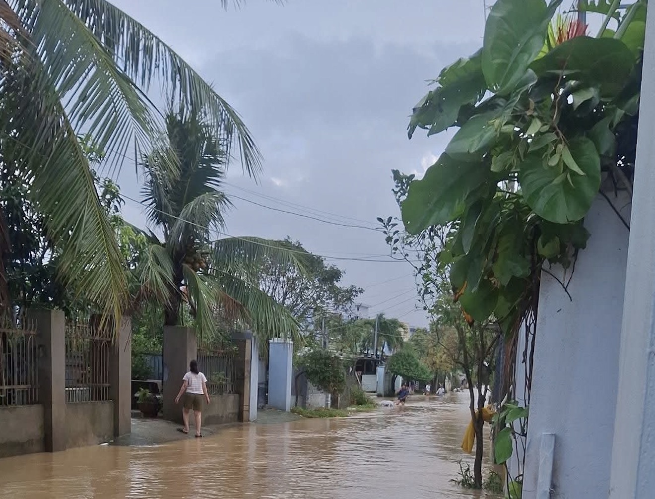 Mưa lớn trong đêm, nhiều khu vực phía Đông Gia Lai ngập trở lại - Ảnh 1. Mưa lớn trong đêm, nhiều khu vực phía Đông Gia Lai ngập trở lại - Ảnh 1.