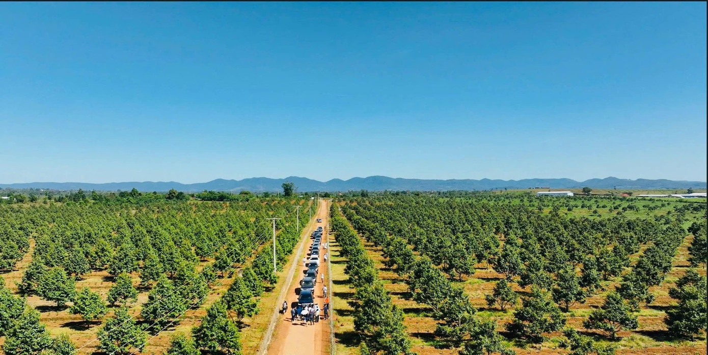 Bầu Đức nói về lúc đứng trước bờ vực phá sản- Ảnh 2.