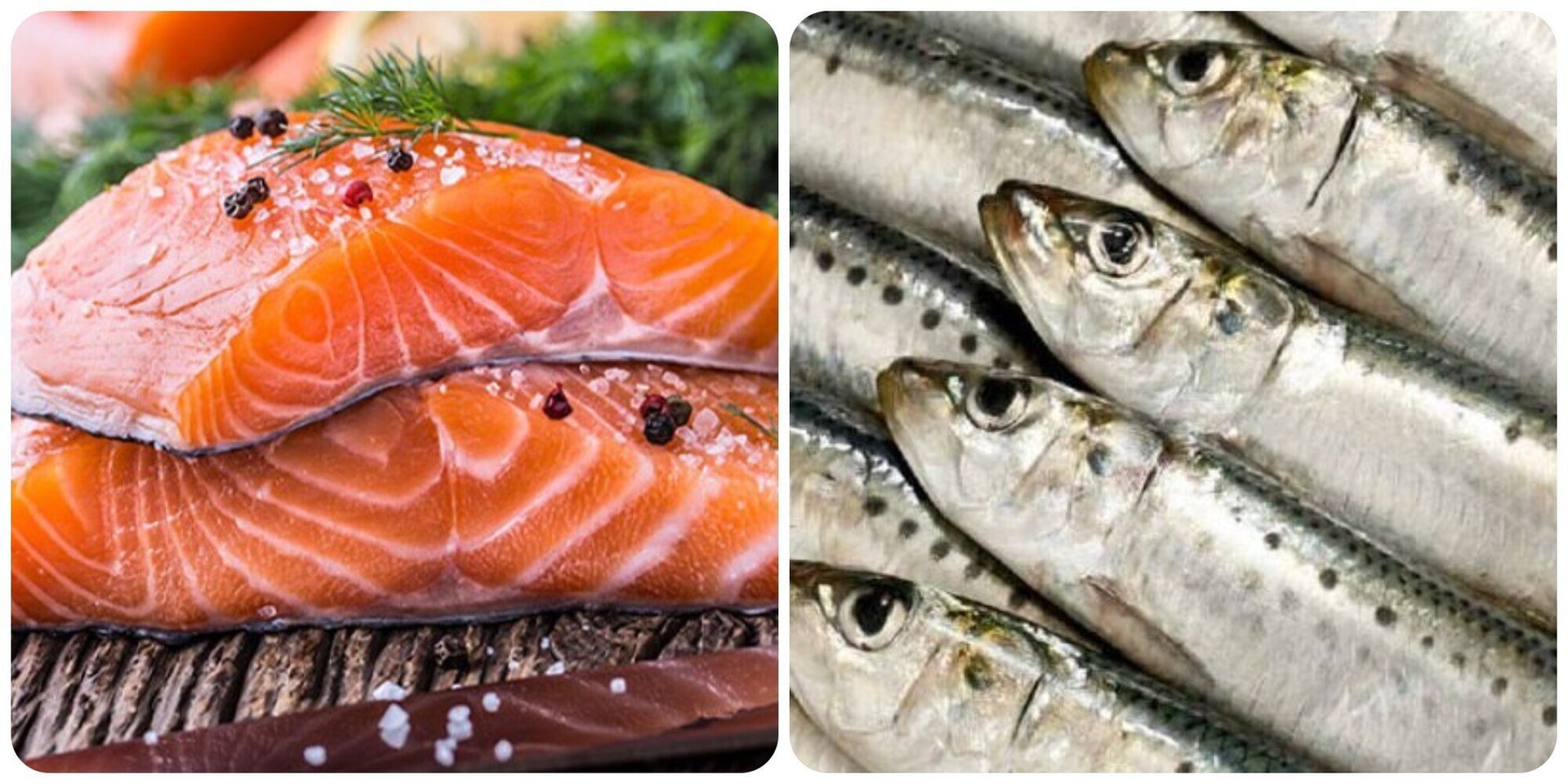 Loại quả chống huyết khối, ngừa đột quỵ đang vào mùa bạt ngàn chợ Việt, tiếc vì toàn bị đánh giá thấp- Ảnh 3. Loại quả chống huyết khối, ngừa đột quỵ đang vào mùa bạt ngàn chợ Việt, tiếc vì toàn bị đánh giá thấp- Ảnh 3.