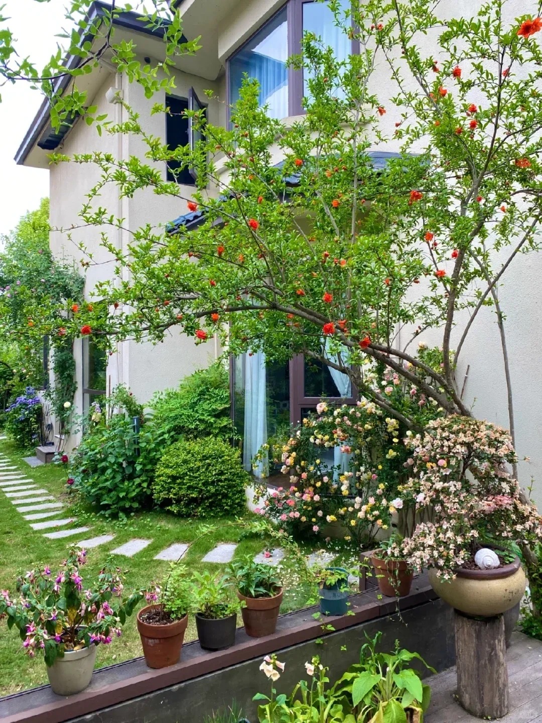 Sân nhà trồng 3 loại cây này: Càng trồng càng thấy nhà ấm, lộc về kín cổng- Ảnh 15. Sân nhà trồng 3 loại cây này: Càng trồng càng thấy nhà ấm, lộc về kín cổng- Ảnh 15.