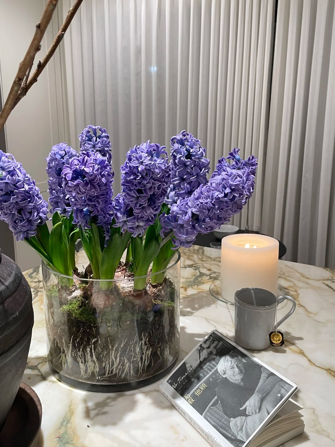 Nhiều chị em đang kháo nhau: Tết này nhất định phải trồng một chậu “hoa của các vị thần”, vừa thơm nhà vừa sang chảnh- Ảnh 7. Nhiều chị em đang kháo nhau: Tết này nhất định phải trồng một chậu “hoa của các vị thần”, vừa thơm nhà vừa sang chảnh- Ảnh 7.