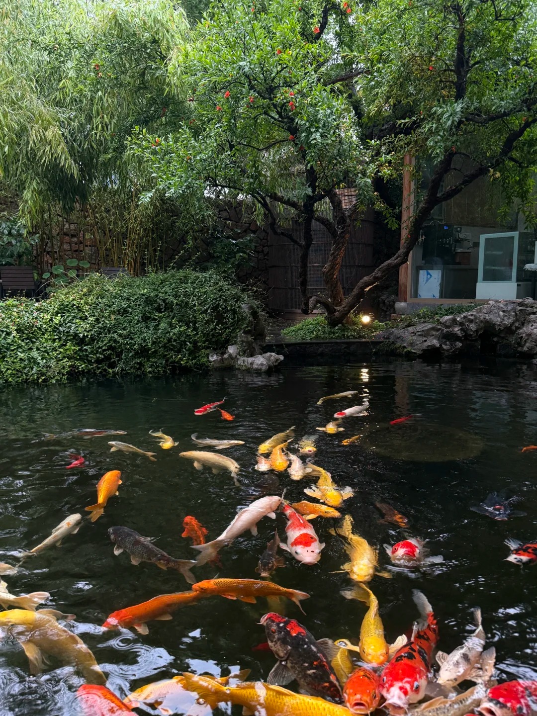 Trước nhà có ao phong thủy tốt hay xấu? Đọc xong bớt lo lấp ao vội- Ảnh 3. Trước nhà có ao phong thủy tốt hay xấu? Đọc xong bớt lo lấp ao vội- Ảnh 3.