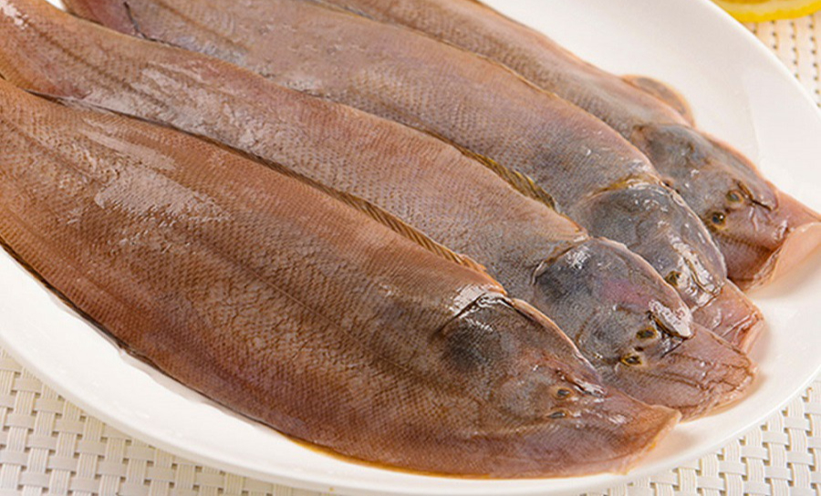 5 loại cá thịt dày, ít xương, bổ như tổ yến: Ra chợ thấy thì nhắm mắt MUA NGAY- Ảnh 1. 5 loại cá thịt dày, ít xương, bổ như tổ yến: Ra chợ thấy thì nhắm mắt MUA NGAY- Ảnh 1.