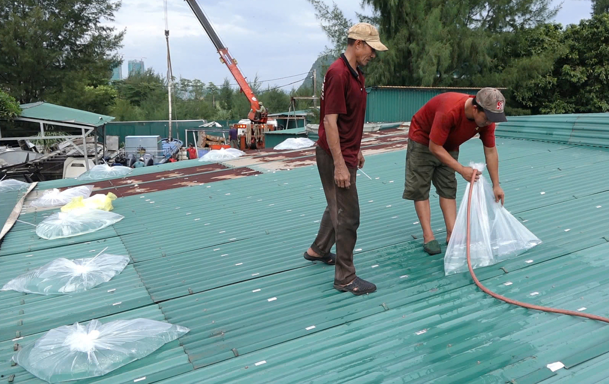 Người dân các tỉnh từ Đà Nẵng đến Lâm Đồng cần đặc biệt lưu ý, làm những việc này trước 28/11- Ảnh 2. Người dân các tỉnh từ Đà Nẵng đến Lâm Đồng cần đặc biệt lưu ý, làm những việc này trước 28/11- Ảnh 2.