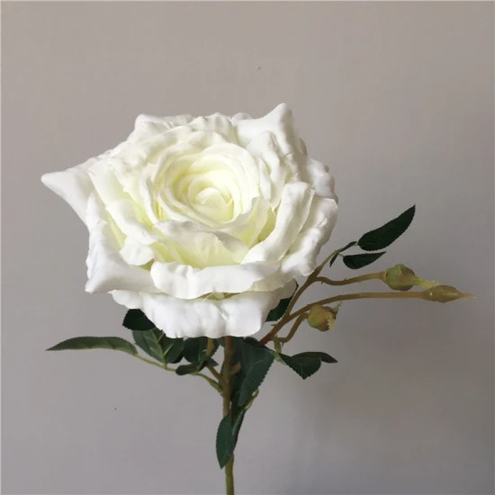 5 loài hoa đại kỵ thờ cúng, tuyệt đối không thắp hương- Ảnh 4. 5 loài hoa đại kỵ thờ cúng, tuyệt đối không thắp hương- Ảnh 4.