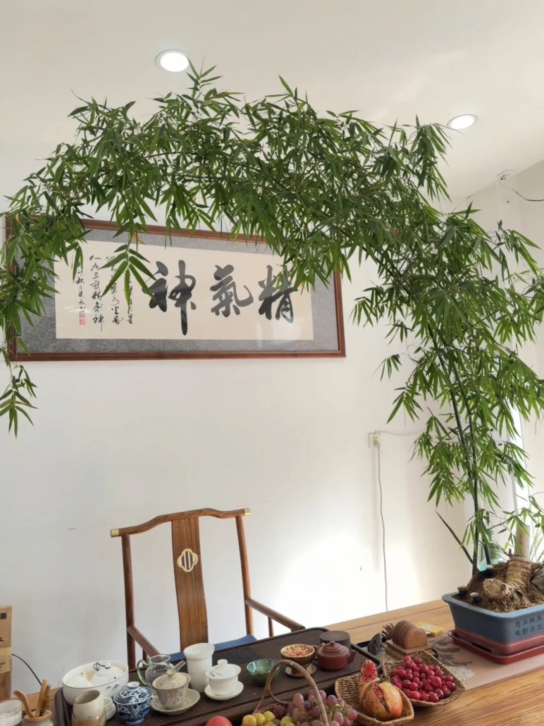 Tre ảnh hưởng gì tới nhà ở? Trồng đúng chỗ mát nhà, yên lòng, vận dễ lên hương - Ảnh 11. Tre ảnh hưởng gì tới nhà ở? Trồng đúng chỗ mát nhà, yên lòng, vận dễ lên hương - Ảnh 11.