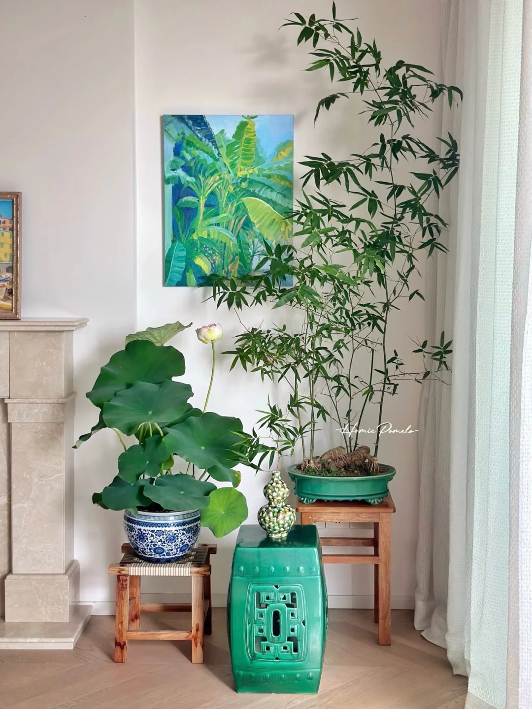 Tre ảnh hưởng gì tới nhà ở? Trồng đúng chỗ mát nhà, yên lòng, vận dễ lên hương - Ảnh 9. Tre ảnh hưởng gì tới nhà ở? Trồng đúng chỗ mát nhà, yên lòng, vận dễ lên hương - Ảnh 9.