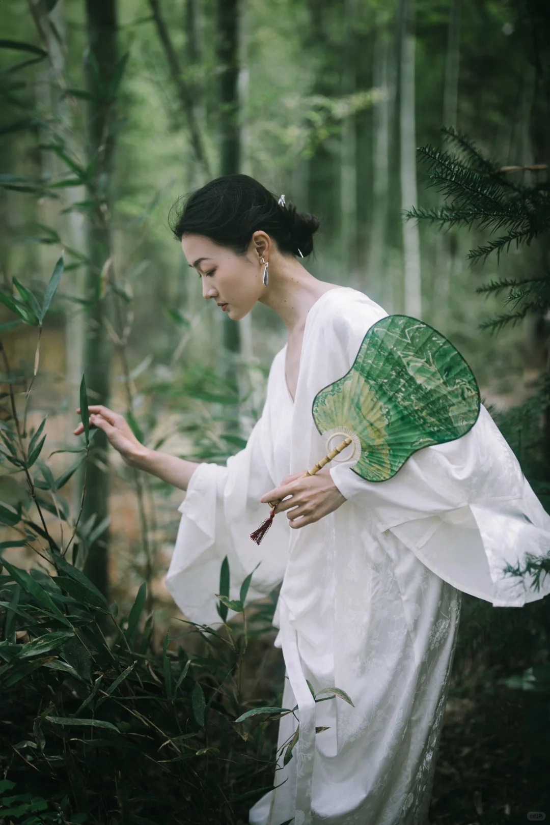 Tre ảnh hưởng gì tới nhà ở? Trồng đúng chỗ mát nhà, yên lòng, vận dễ lên hương - Ảnh 2. Tre ảnh hưởng gì tới nhà ở? Trồng đúng chỗ mát nhà, yên lòng, vận dễ lên hương - Ảnh 2.