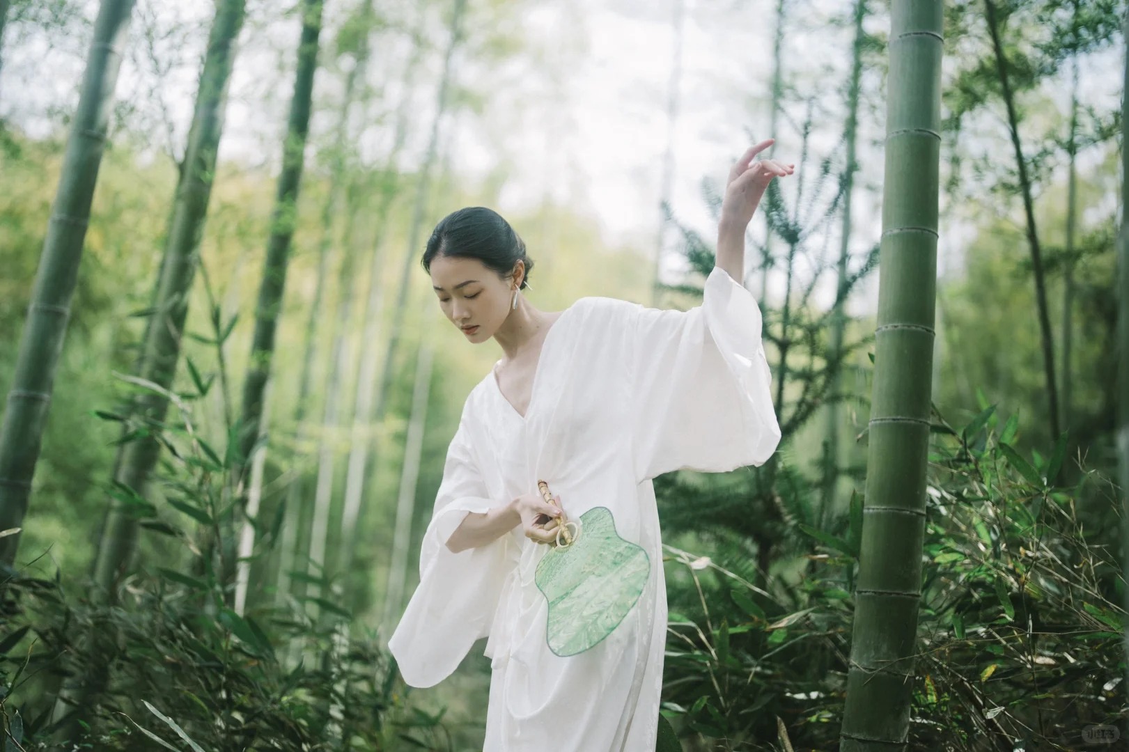 Tre ảnh hưởng gì tới nhà ở? Trồng đúng chỗ mát nhà, yên lòng, vận dễ lên hương - Ảnh 1. Tre ảnh hưởng gì tới nhà ở? Trồng đúng chỗ mát nhà, yên lòng, vận dễ lên hương - Ảnh 1.