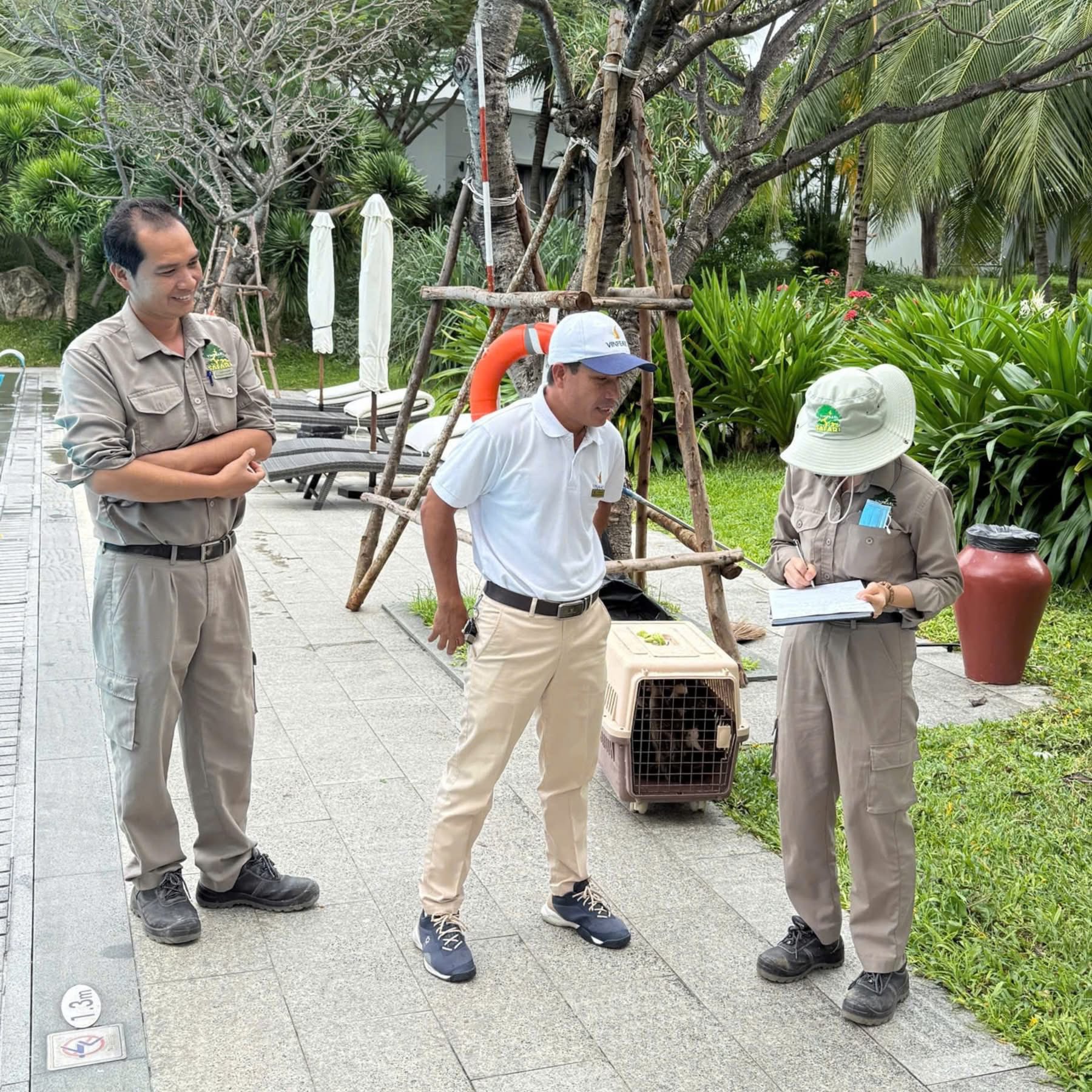 Fanpage của Vinpearl Nha Trang thông báo về tình trạng của đàn vịt "tài phiệt" trước bão số 15 Koto - Ảnh 1. Fanpage của Vinpearl Nha Trang thông báo về tình trạng của đàn vịt "tài phiệt" trước bão số 15 Koto - Ảnh 1.