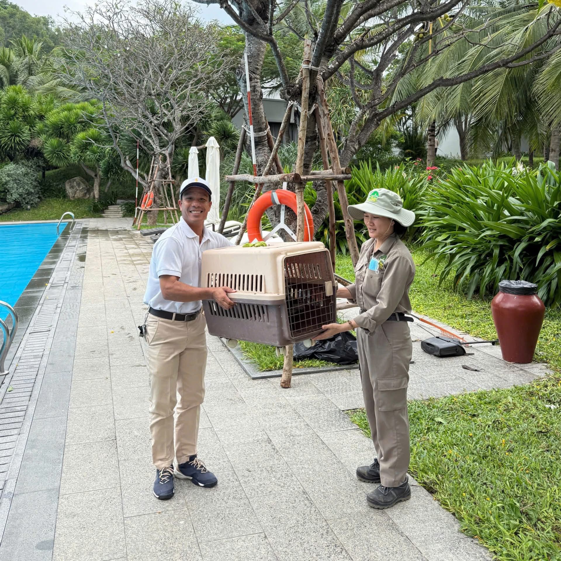 Fanpage của Vinpearl Nha Trang thông báo về tình trạng của đàn vịt "tài phiệt" trước bão số 15 Koto - Ảnh 2. Fanpage của Vinpearl Nha Trang thông báo về tình trạng của đàn vịt "tài phiệt" trước bão số 15 Koto - Ảnh 2.