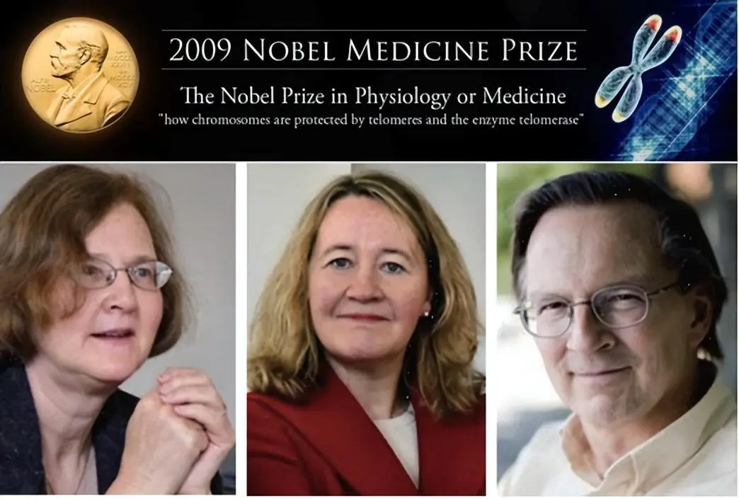 Một vạn người, có bao nhiêu người sống tới 80 tuổi -sống bao nhiêu tuổi mới được xem là “lâu sống”?- Ảnh 2. Một vạn người, có bao nhiêu người sống tới 80 tuổi -sống bao nhiêu tuổi mới được xem là “lâu sống”?- Ảnh 2.