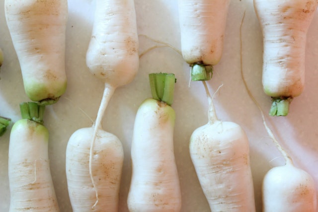 Chuyên gia Nhật giảm 6kg sau 4 tháng nhờ uống nước ép "nhân sâm trắng", Việt Nam bán giá siêu rẻ - Ảnh 1. Chuyên gia Nhật giảm 6kg sau 4 tháng nhờ uống nước ép "nhân sâm trắng", Việt Nam bán giá siêu rẻ - Ảnh 1.