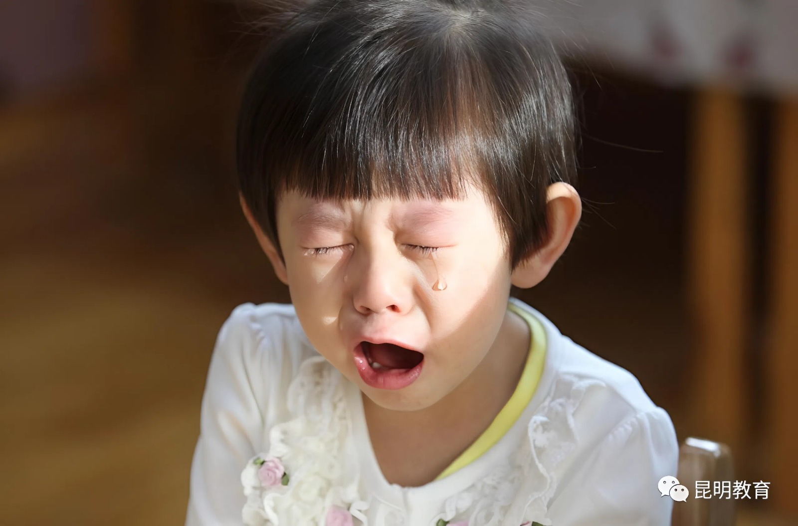 3 Dấu hiệu ở trẻ dự báo tương lai không có tiền đồ Theo Giáo sư Harvard - Ảnh 1. 3 Dấu hiệu ở trẻ dự báo tương lai không có tiền đồ Theo Giáo sư Harvard - Ảnh 1.