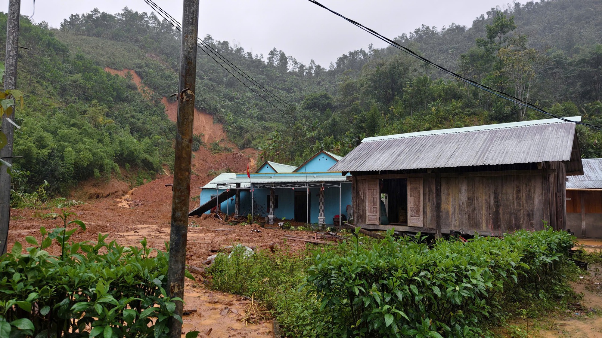 - Ảnh 11. - Ảnh 11.