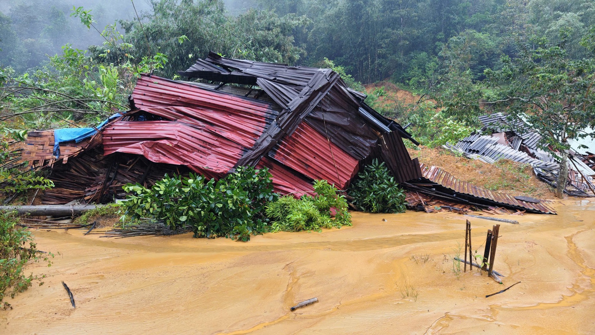 - Ảnh 12. - Ảnh 12.