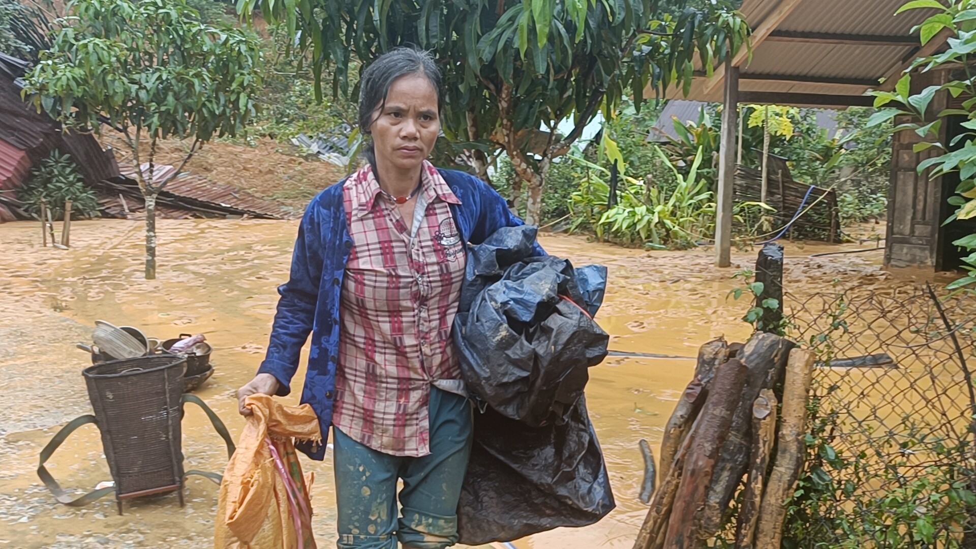 - Ảnh 7. - Ảnh 7.