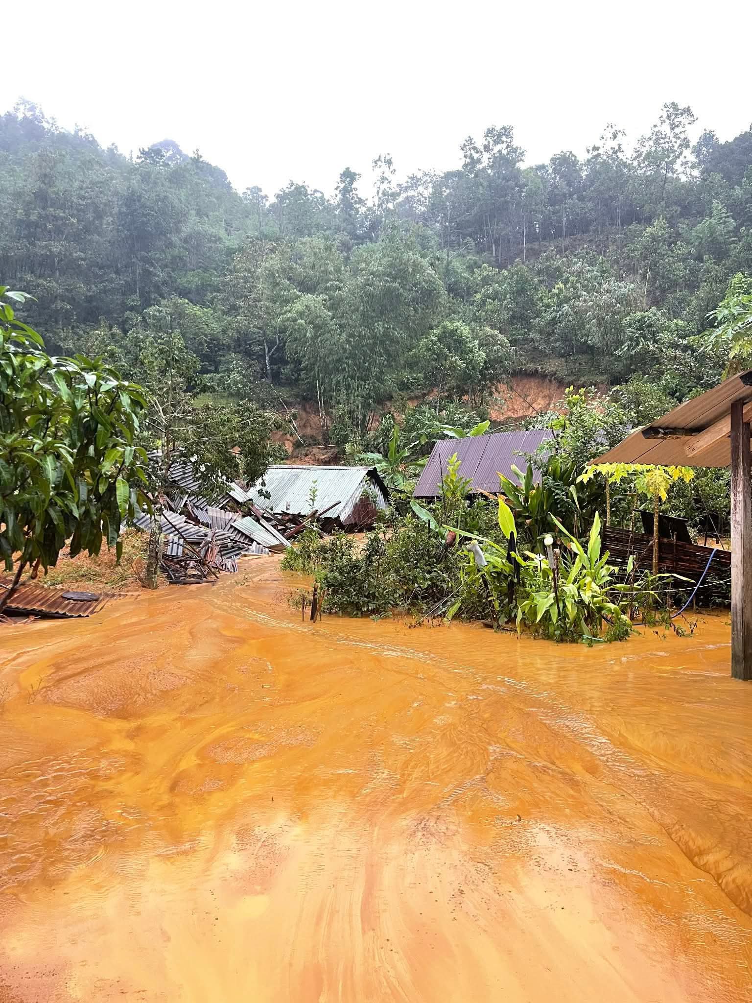 - Ảnh 10. - Ảnh 10.