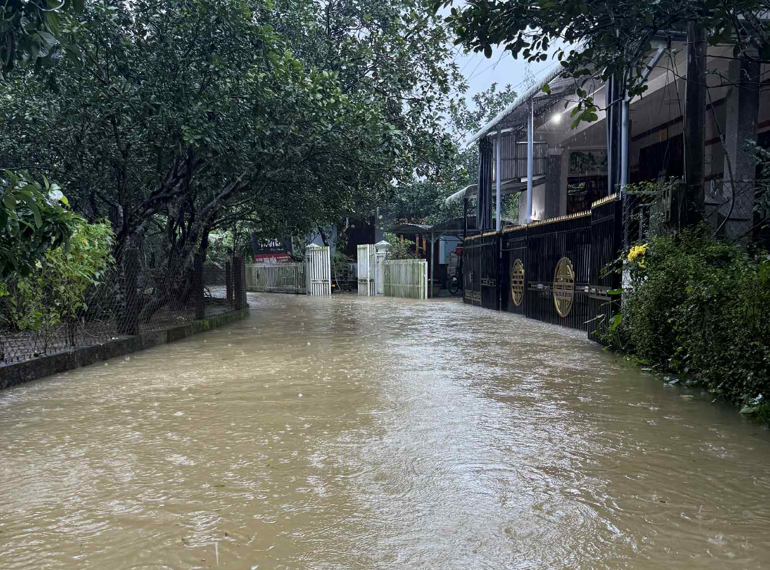 - Ảnh 12. - Ảnh 12.