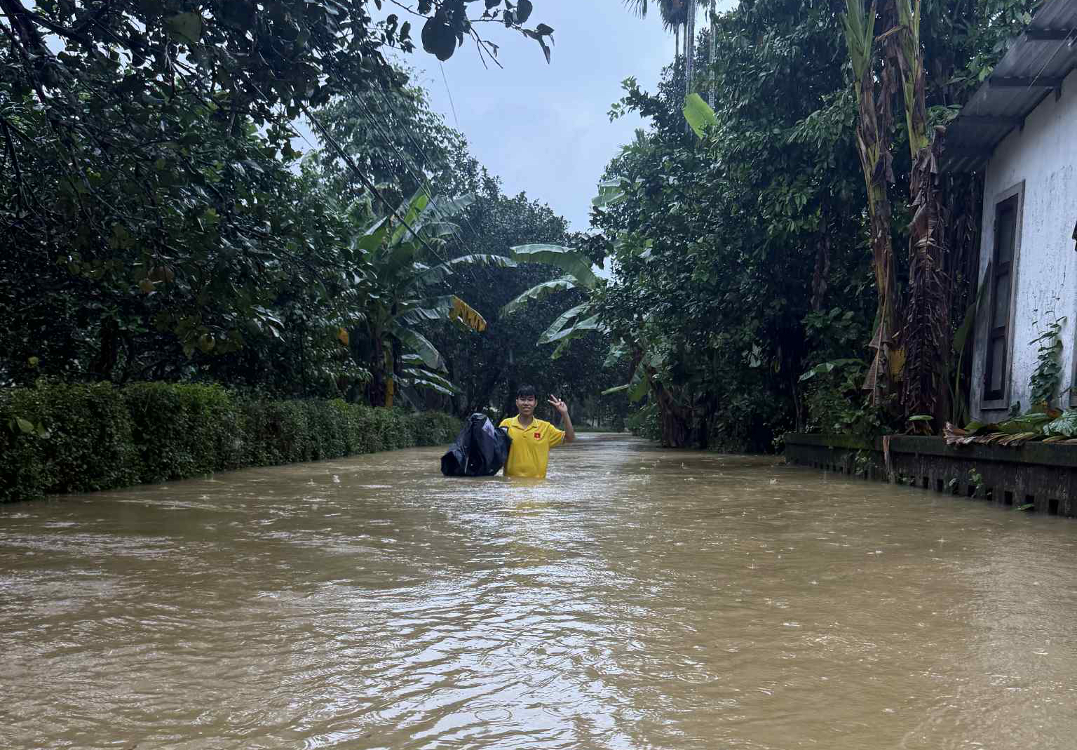 - Ảnh 15. - Ảnh 15.