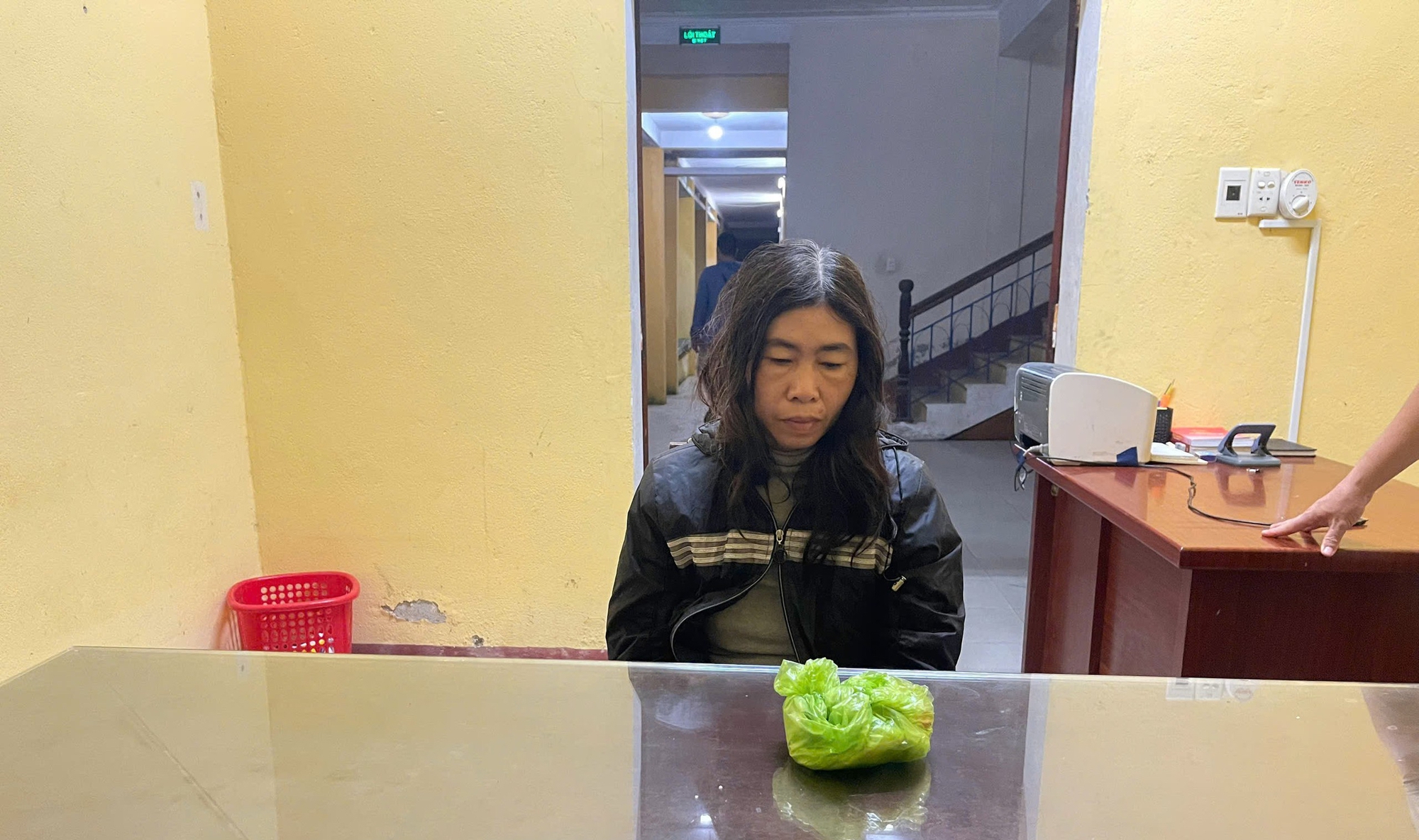 - Ảnh 1. - Ảnh 1.