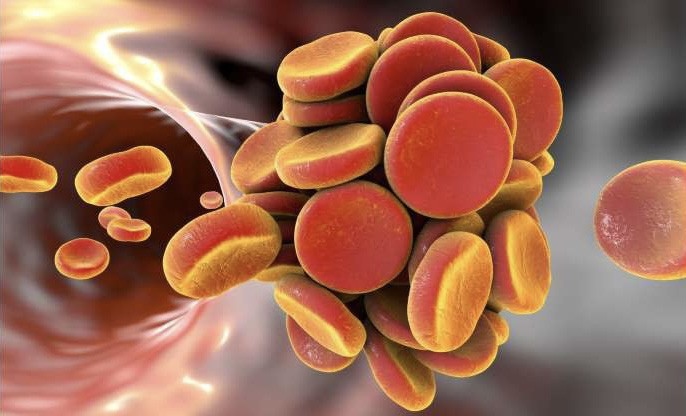 - Ảnh 2. - Ảnh 2.