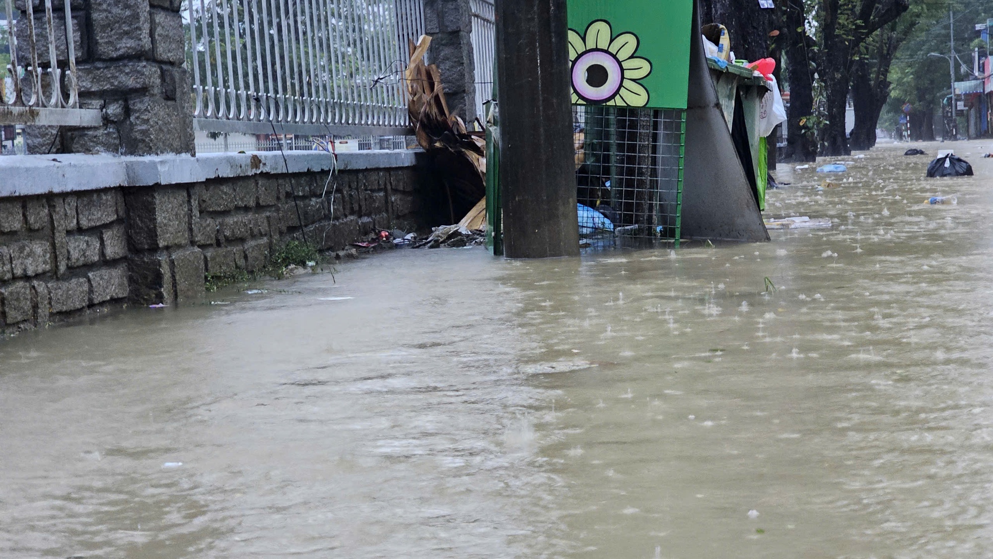 - Ảnh 11. - Ảnh 11.