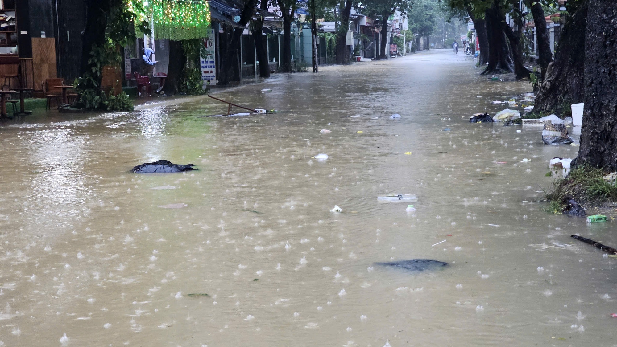 - Ảnh 10. - Ảnh 10.