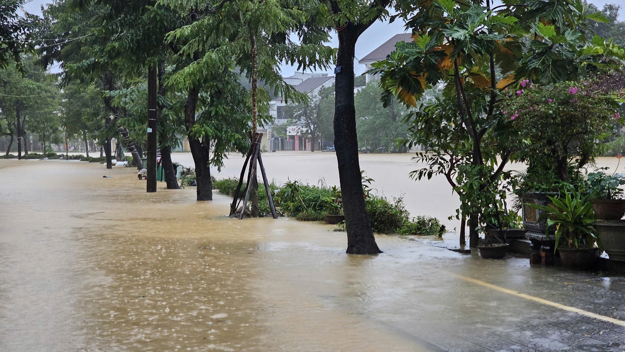 Lũ “tập 3” bắt đầu tại Huế, cảnh báo diễn biến phức tạp do bão Kalmaegi Lũ “tập 3” bắt đầu tại Huế, cảnh báo diễn biến phức tạp do bão Kalmaegi