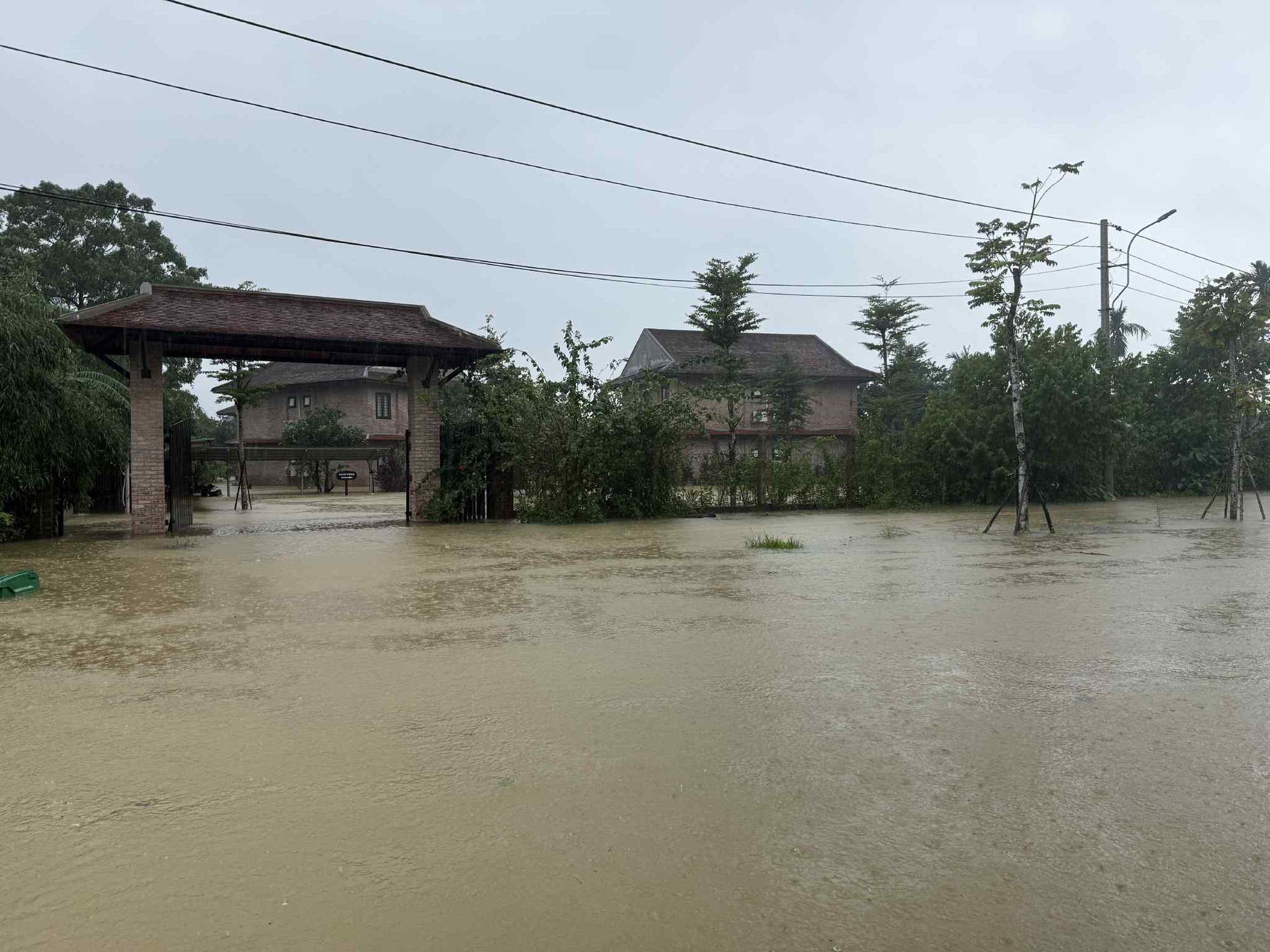 - Ảnh 13. - Ảnh 13.