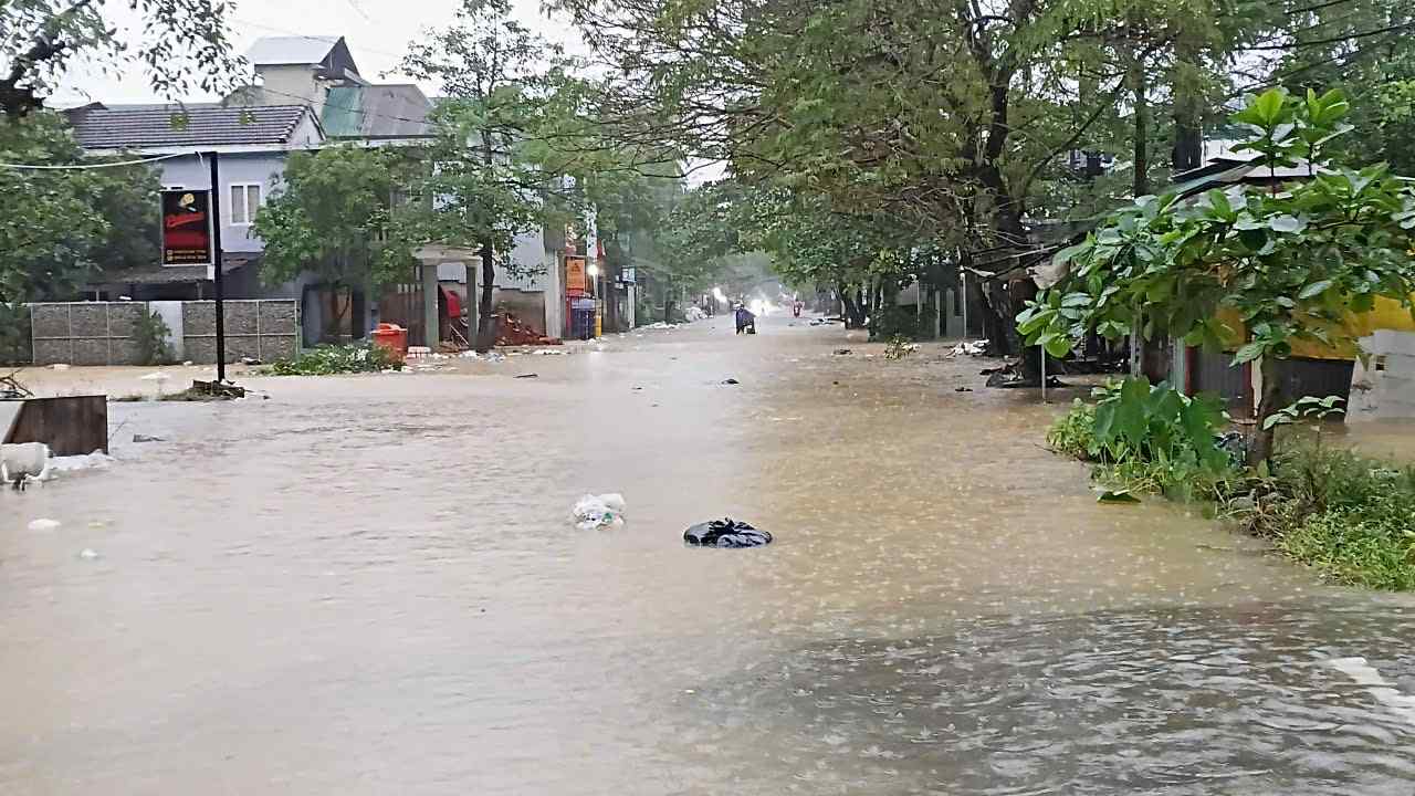 - Ảnh 16. - Ảnh 16.