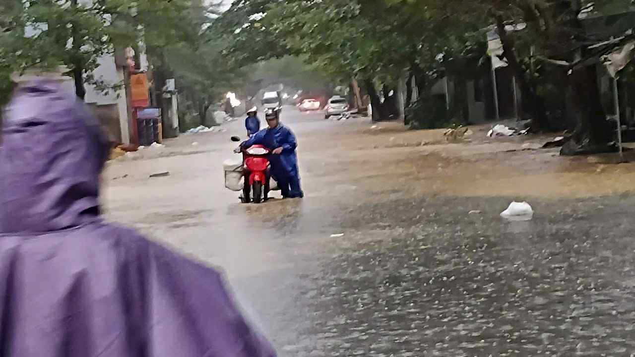 - Ảnh 14. - Ảnh 14.