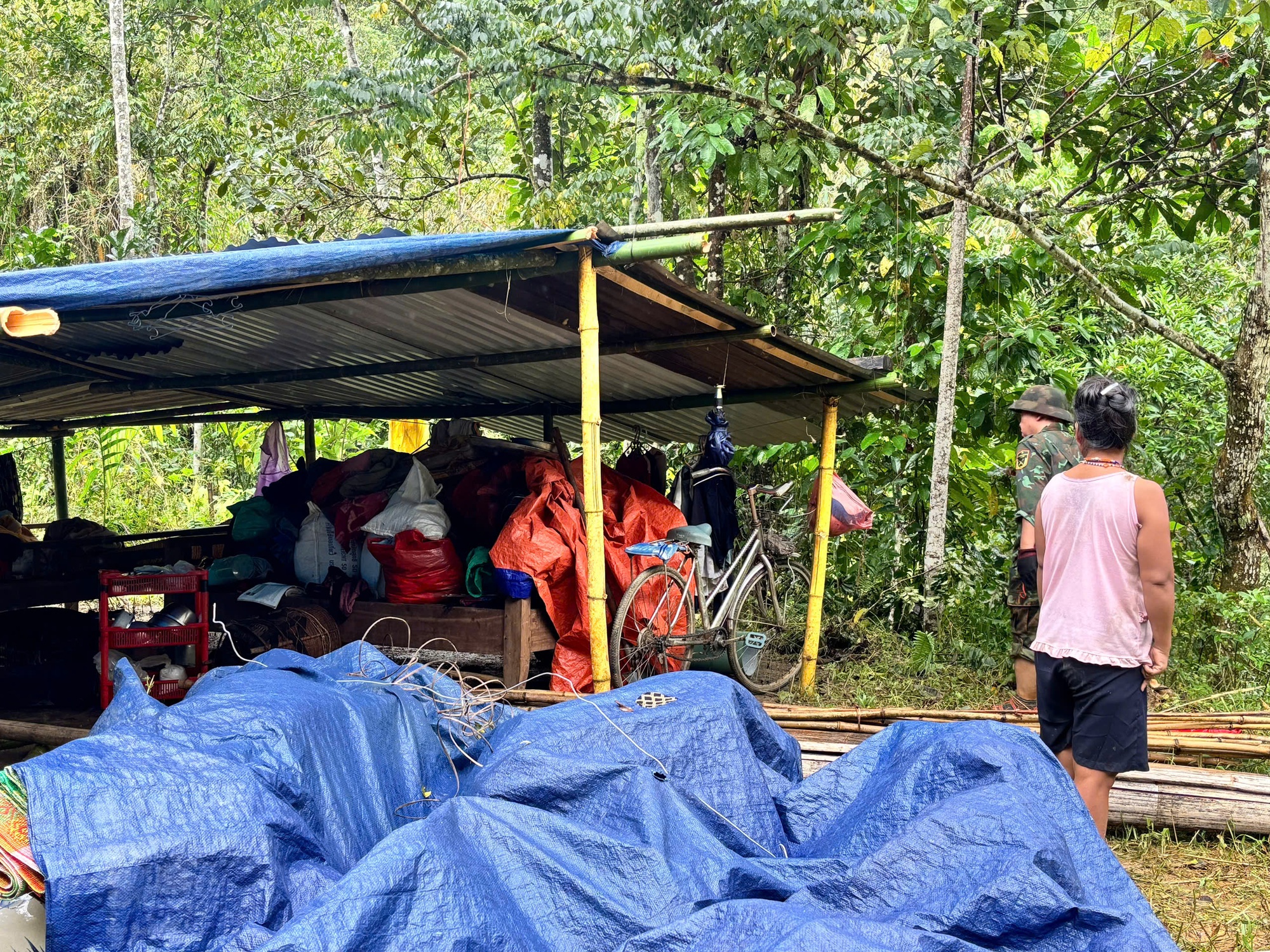 - Ảnh 19. - Ảnh 19.