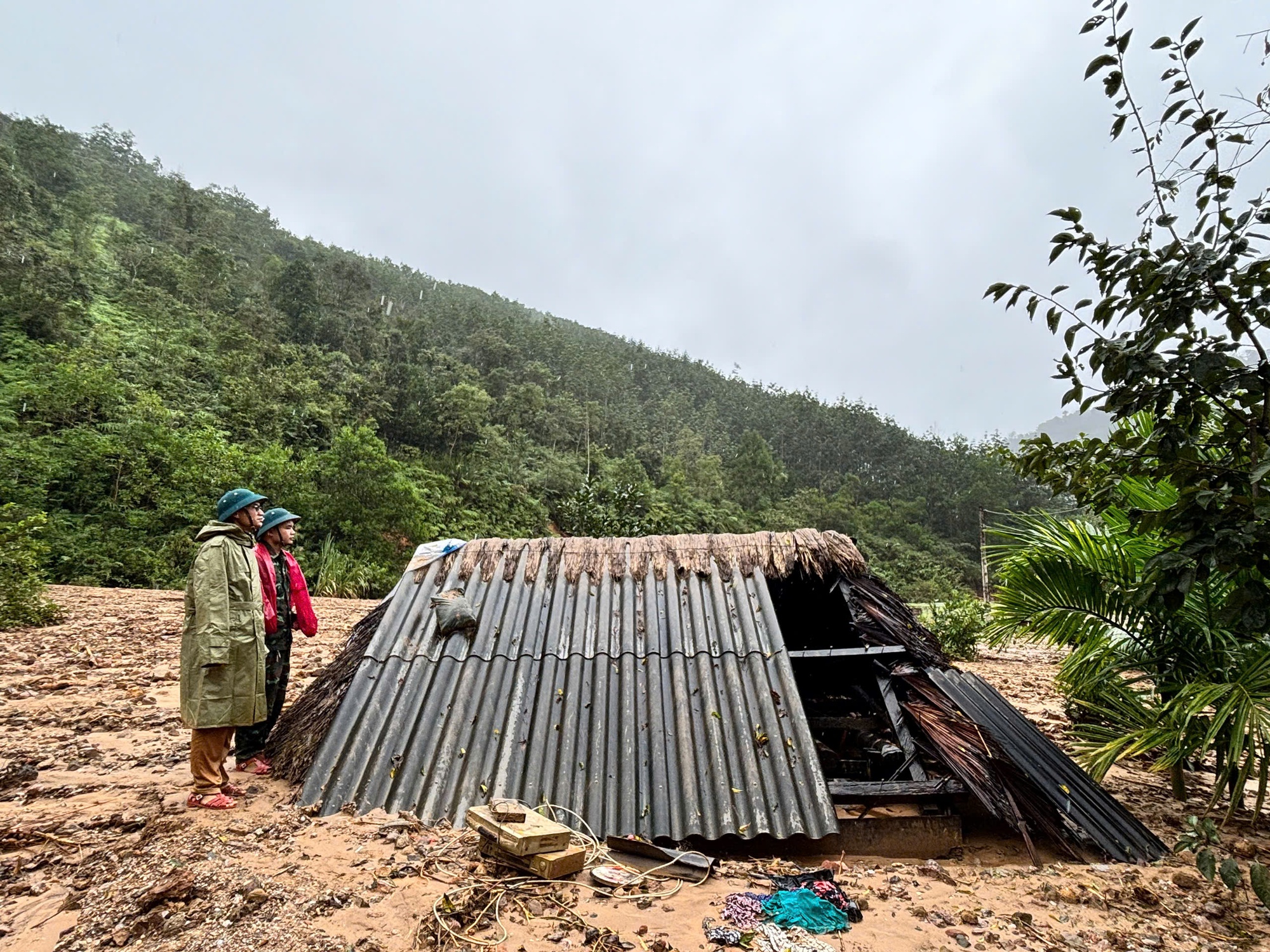 - Ảnh 9. - Ảnh 9.