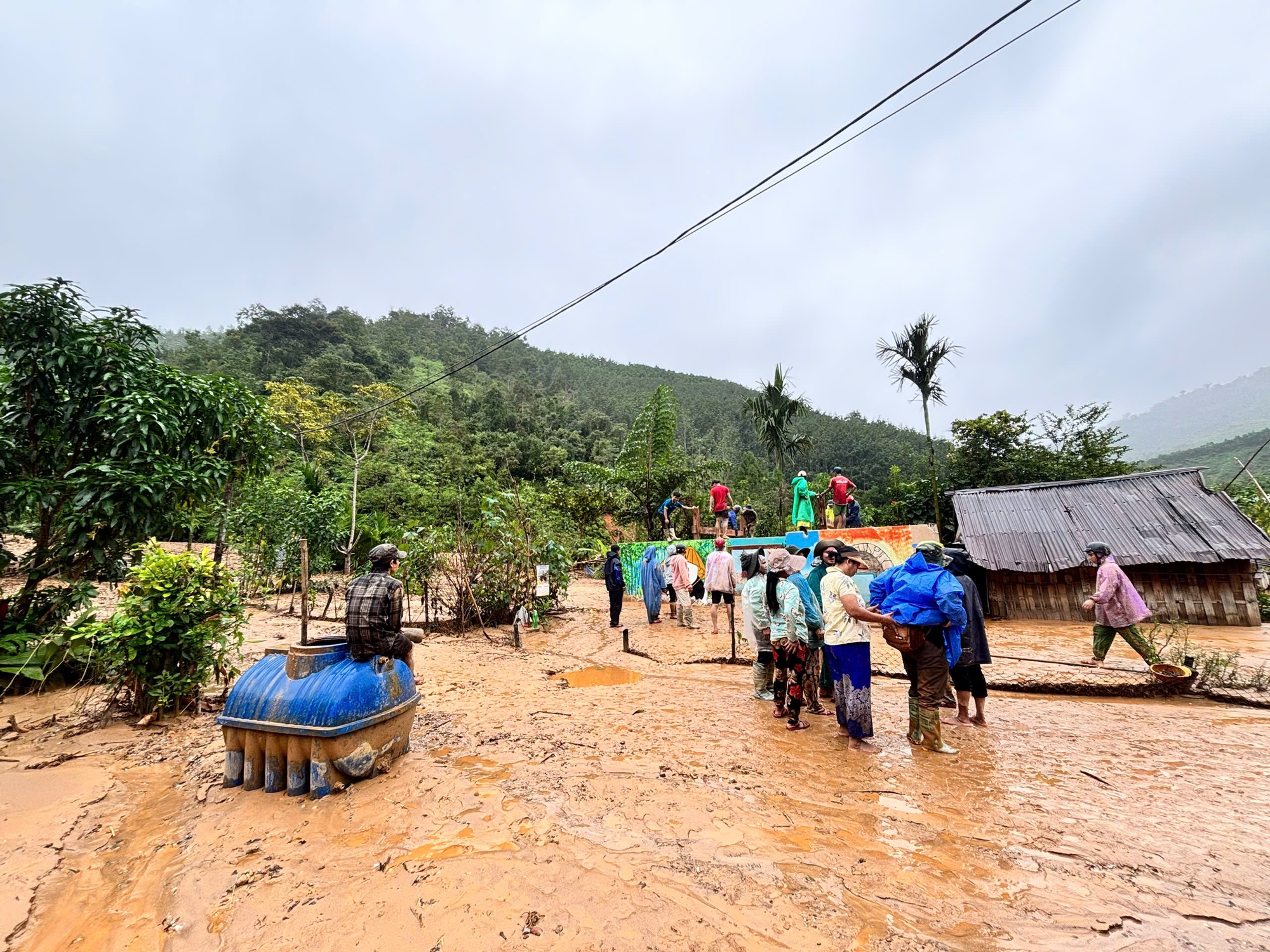 - Ảnh 15. - Ảnh 15.