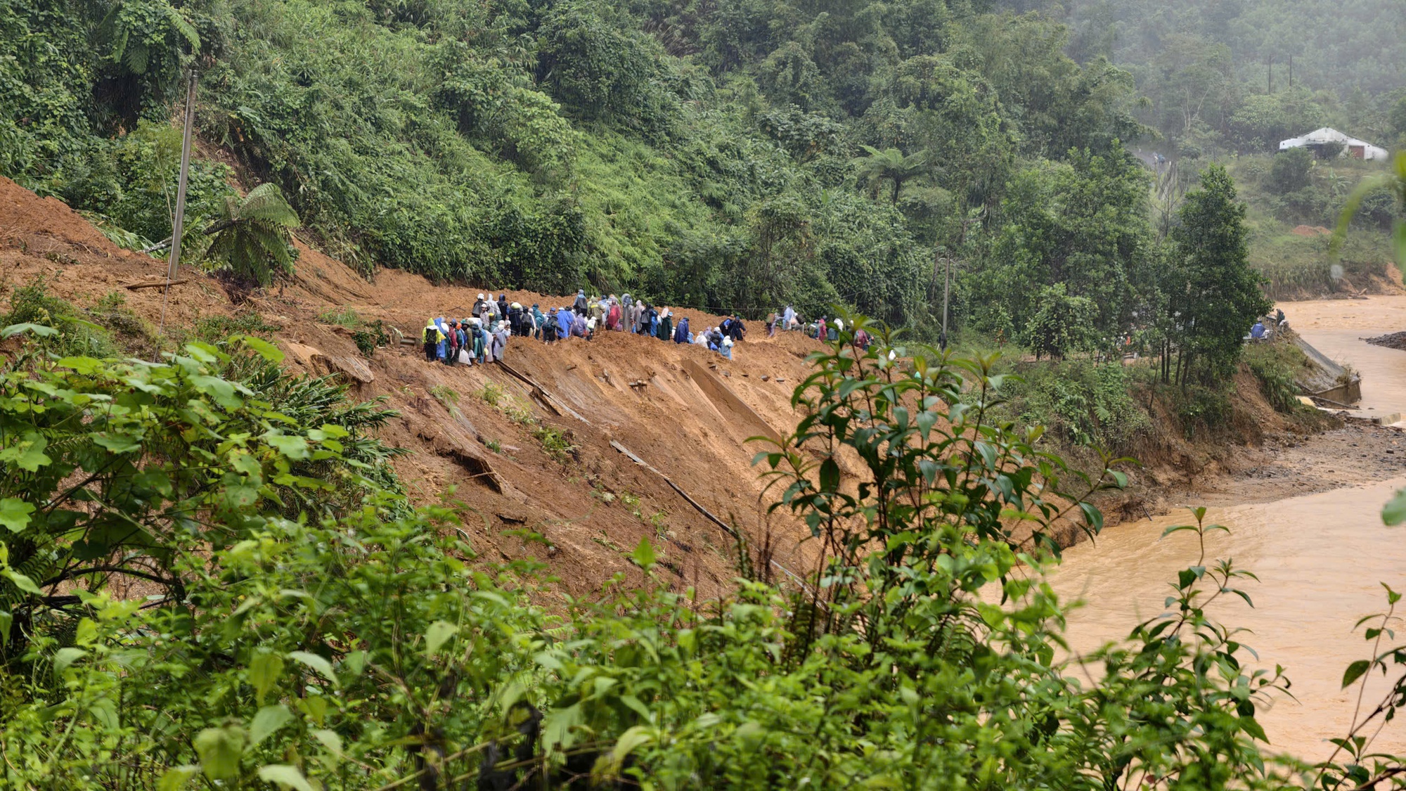 - Ảnh 24. - Ảnh 24.