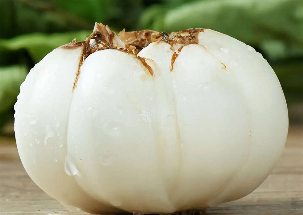 Mềm hơn khoai lang, bổ hơn khoai môn: Loại củ mùa đông vừa ra đã hot, ăn thường xuyên bổ thận, bổ phổi- Ảnh 1. Mềm hơn khoai lang, bổ hơn khoai môn: Loại củ mùa đông vừa ra đã hot, ăn thường xuyên bổ thận, bổ phổi- Ảnh 1.