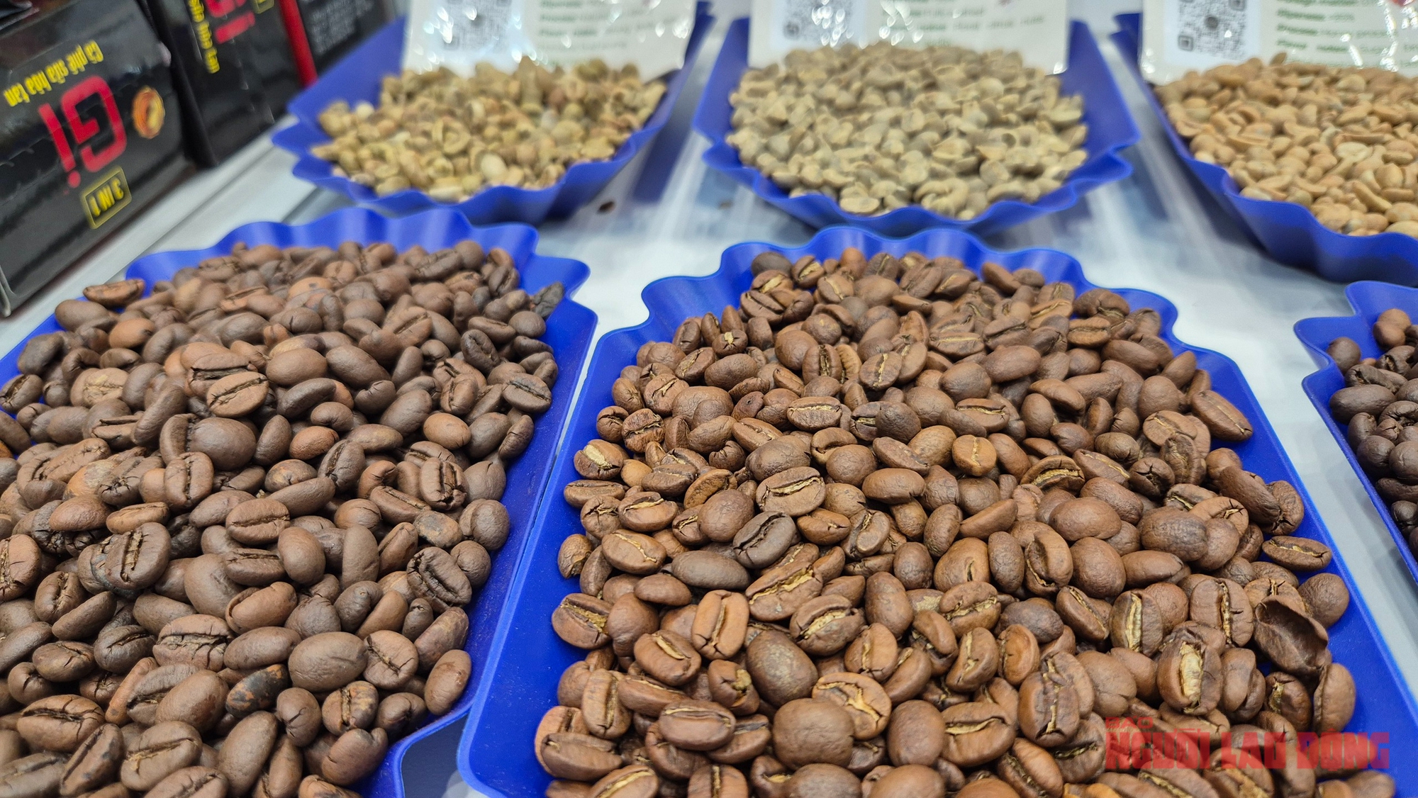 Giá cà phê hôm nay 30 - 11: Xu hướng bất ngờ trên thị trường cà phê - Ảnh 1. Giá cà phê hôm nay 30 - 11: Xu hướng bất ngờ trên thị trường cà phê - Ảnh 1.