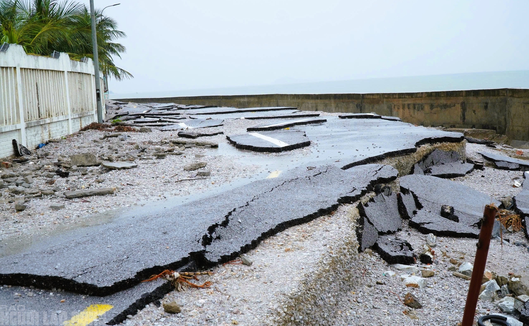 Cảnh tơi tả ở khu du lịch Hải Tiến thanh hóa cần 100 tỉ đồng tái thiết - Ảnh 7. Cảnh tơi tả ở khu du lịch Hải Tiến thanh hóa cần 100 tỉ đồng tái thiết - Ảnh 7.