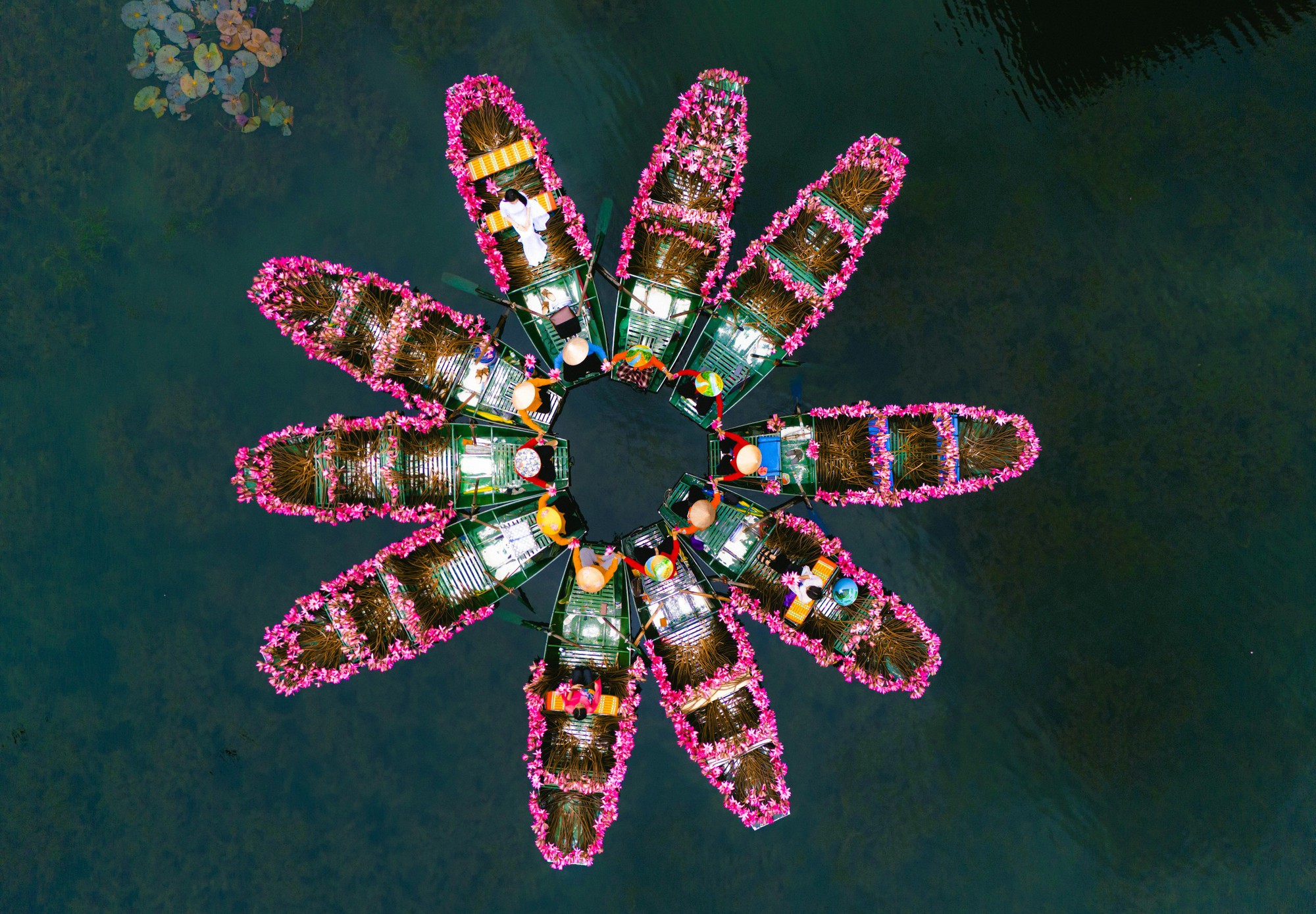 Tam Cốc ngọt lịm mùa hoa súng - Ảnh 11.