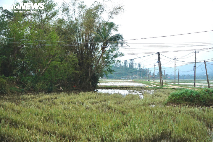Chỉ kịp cứu chính mình giữa lũ lụt Đắk Lắk , nỗi đau của người đàn ông mất 3 người thân - Ảnh 7. Chỉ kịp cứu chính mình giữa lũ lụt Đắk Lắk , nỗi đau của người đàn ông mất 3 người thân - Ảnh 7.