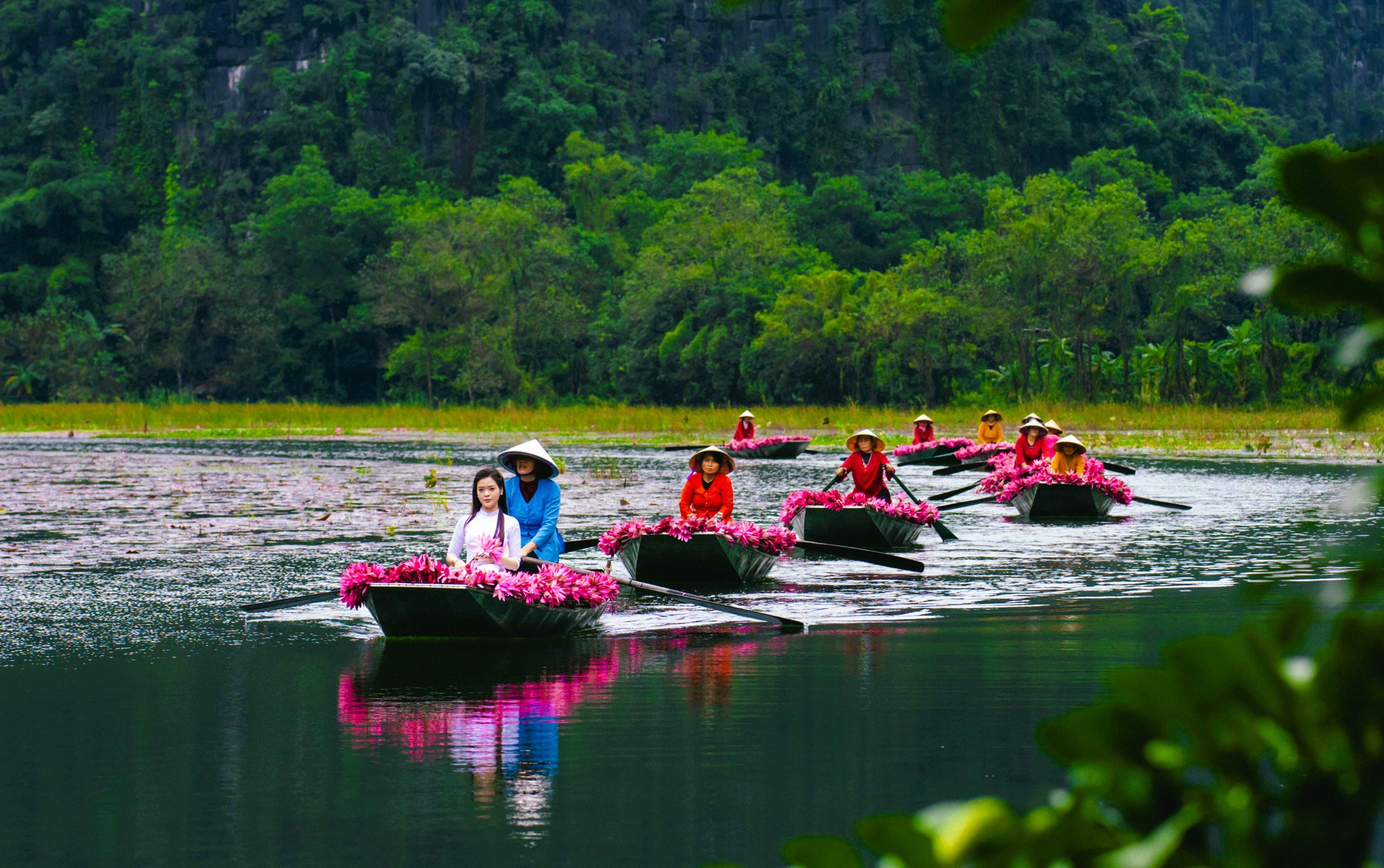 Tam Cốc ngọt lịm mùa hoa súng - Ảnh 2.
