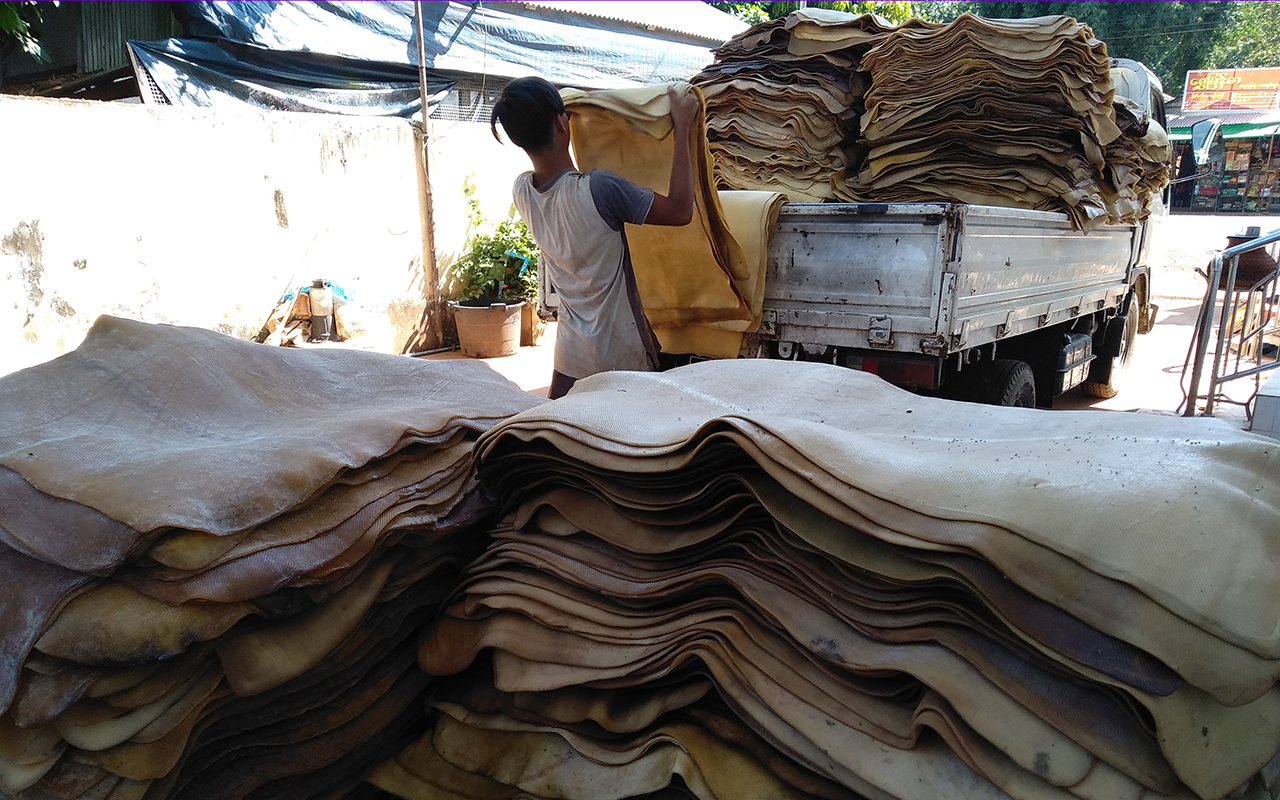 Hàng chục nghìn tấn cao su Việt Nam được Indonesia săn lùng , đứng top 5 thế giới - Ảnh 1. Hàng chục nghìn tấn cao su Việt Nam được Indonesia săn lùng , đứng top 5 thế giới - Ảnh 1.