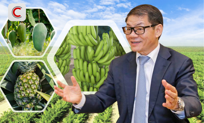 Tỷ phú Trần Bá Dương kể về thương vụ bán chuối trong 10 năm cho "ông trùm" nông nghiệp Fresh Del Monte: Chúng tôi phải cam kết nếu chất lượng dưới 90% chuẩn sẽ bị phạt 1 USD mỗi thùng (13 kg) - Ảnh 1. Tỷ phú Trần Bá Dương kể về thương vụ bán chuối trong 10 năm cho "ông trùm" nông nghiệp Fresh Del Monte: Chúng tôi phải cam kết nếu chất lượng dưới 90% chuẩn sẽ bị phạt 1 USD mỗi thùng (13 kg) - Ảnh 1.