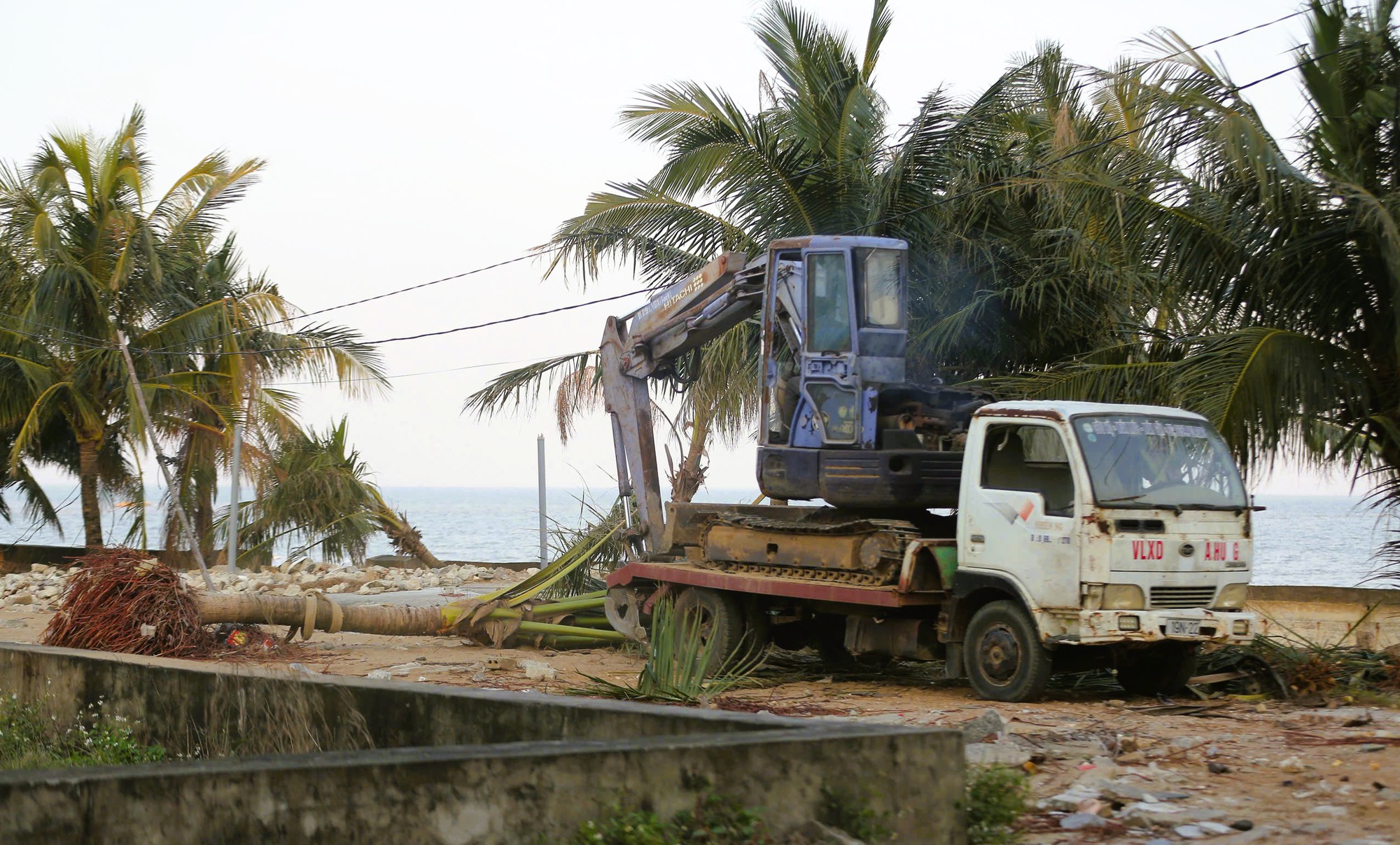 Cảnh tơi tả ở khu du lịch Hải Tiến thanh hóa cần 100 tỉ đồng tái thiết - Ảnh 6. Cảnh tơi tả ở khu du lịch Hải Tiến thanh hóa cần 100 tỉ đồng tái thiết - Ảnh 6.