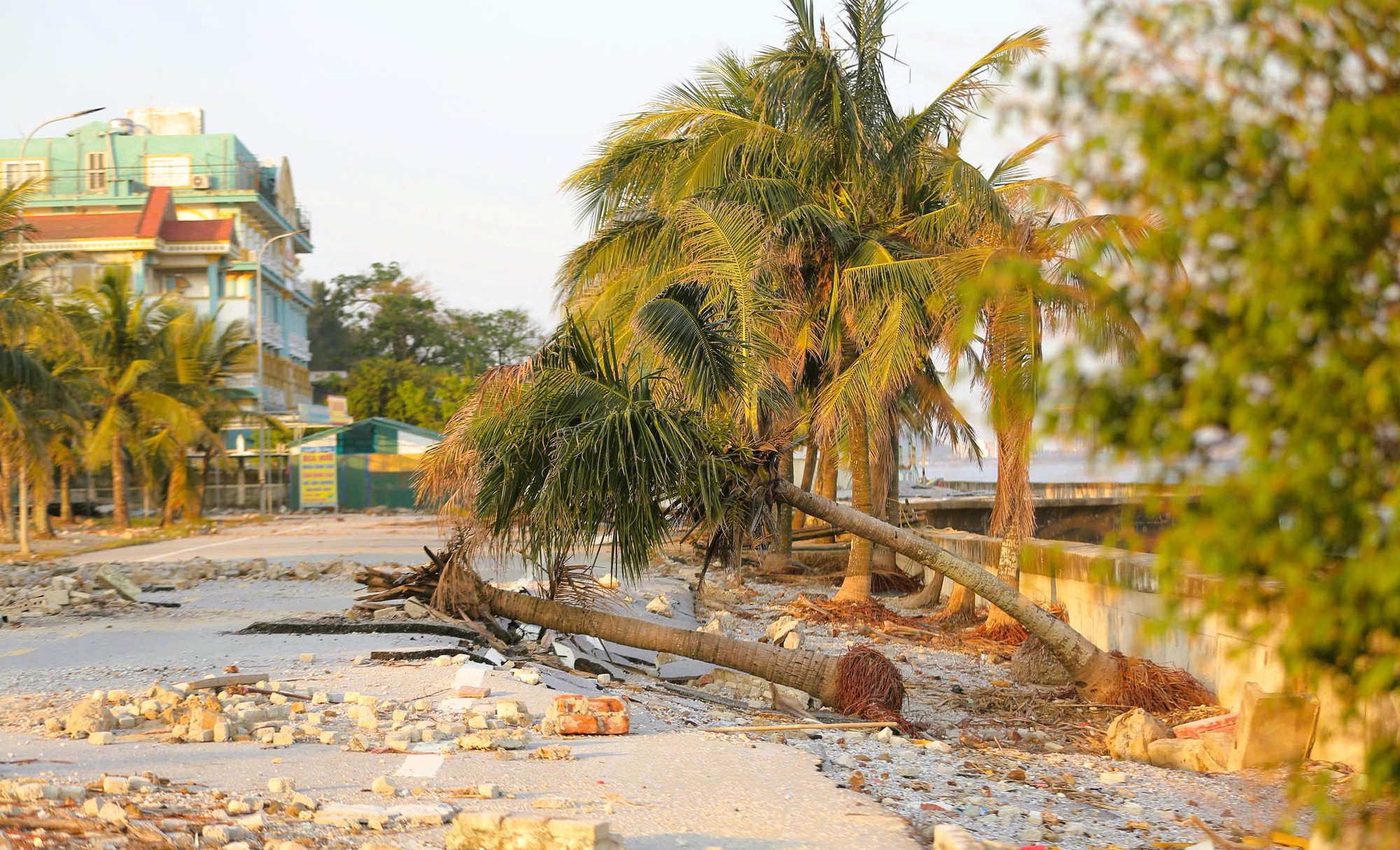 Cảnh tơi tả ở khu du lịch Hải Tiến thanh hóa cần 100 tỉ đồng tái thiết - Ảnh 5. Cảnh tơi tả ở khu du lịch Hải Tiến thanh hóa cần 100 tỉ đồng tái thiết - Ảnh 5.